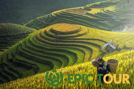 Vietnam Tour Sapa 9 Min